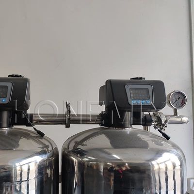 Impianto di trattamento dell'acqua a osmosi inversa a due fasi SUS304 con sistema EDI puro